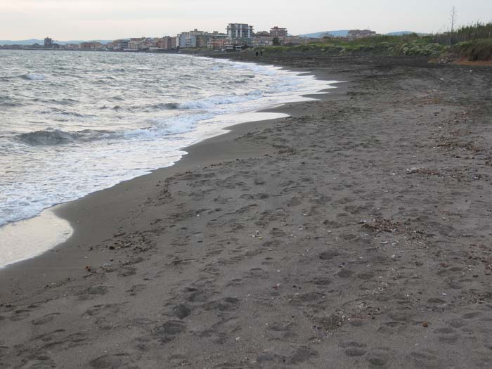 Ultime foto dell''incontro Natura Mediterraneo - 1^ parte